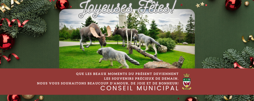 Souhaits Conseil 2025 (FR)